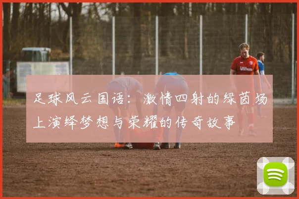 足球风云国语：激情四射的绿茵场上演绎梦想与荣耀的传奇故事