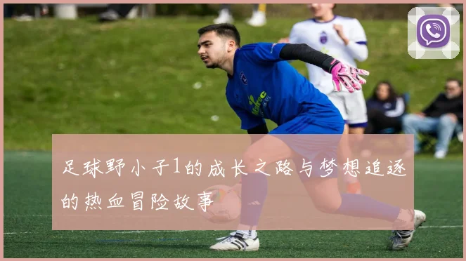 足球野小子1的成长之路与梦想追逐的热血冒险故事