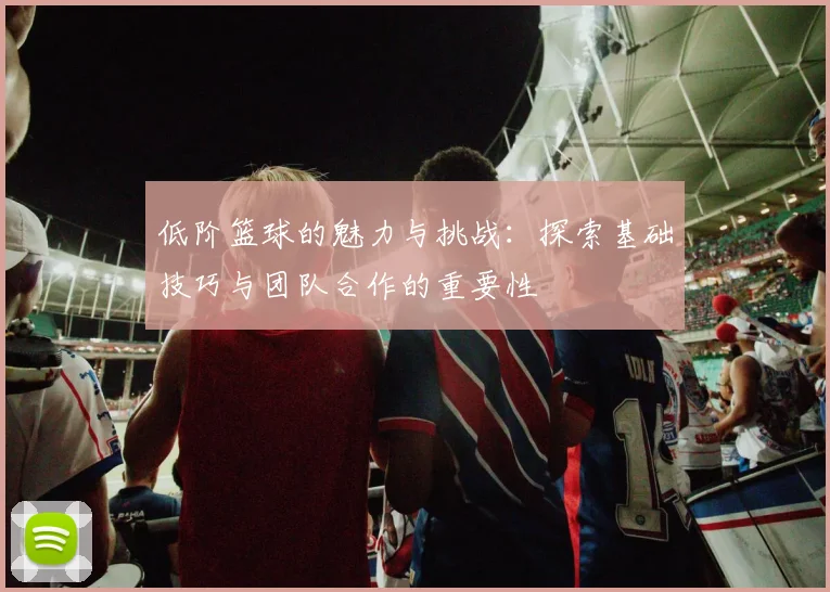 低阶篮球的魅力与挑战：探索基础技巧与团队合作的重要性