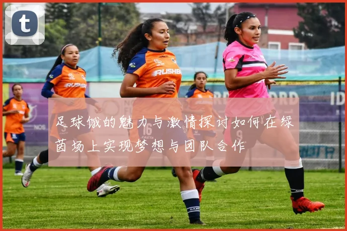 足球饿的魅力与激情探讨如何在绿茵场上实现梦想与团队合作