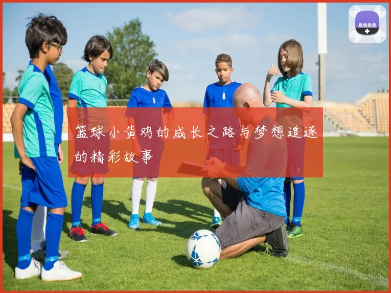 篮球小黄鸡的成长之路与梦想追逐的精彩故事