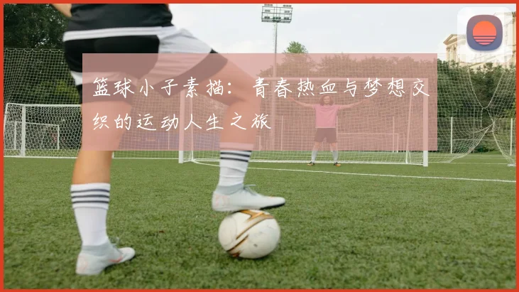 篮球小子素描：青春热血与梦想交织的运动人生之旅